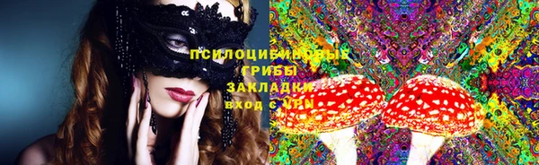 ГАЛЛЮЦИНОГЕННЫЕ ГРИБЫ Михайлов